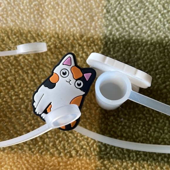 6 New Cat Straw Covers - Picture 3 of 3